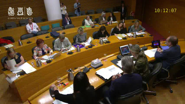 poster Reunió 12 Comissió de Polítiques d'Igualtat de Gènere i del Col·lectiu LGTBI