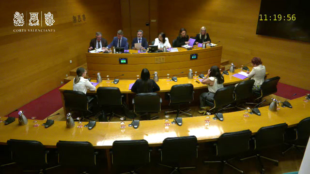 Reunió 7 Comissió de Peticions